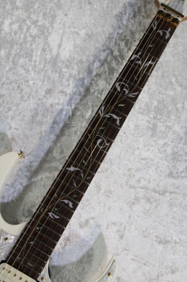 Ibanez JEM7V Steve Vai Signature Model White 2010 Electric Guitar From JP w/case