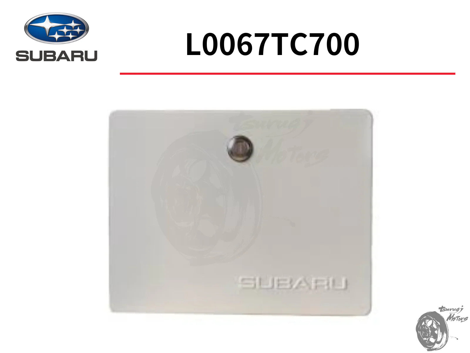 Image #14
