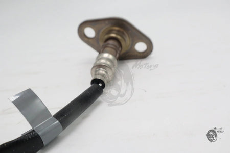 Image #9