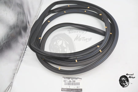 Image #12