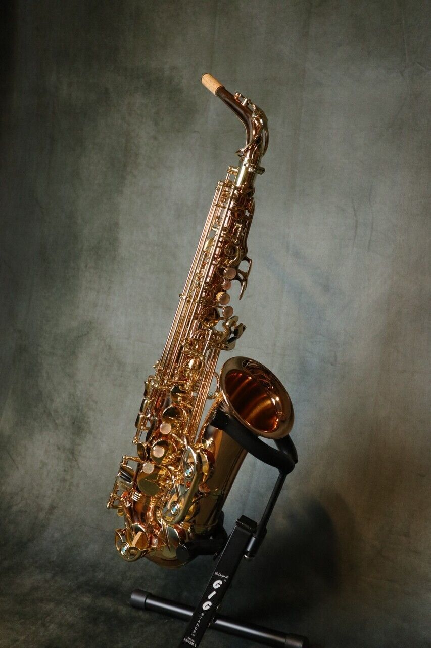 Yanagisawa AWO2 A-WO2 Bronze Alto Saxophone genuine Brand New