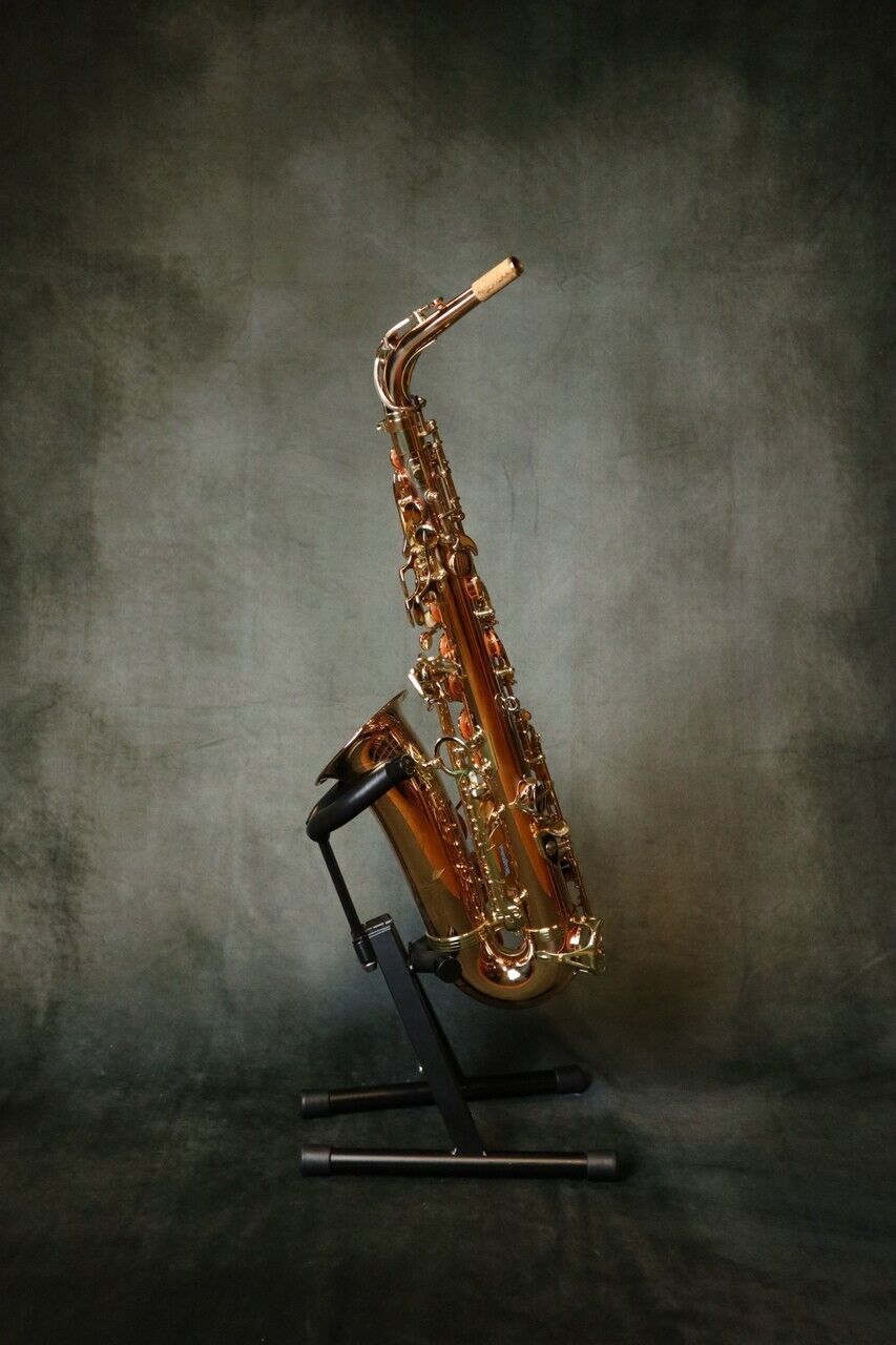 Yanagisawa AWO2 A-WO2 Bronze Alto Saxophone genuine Brand New