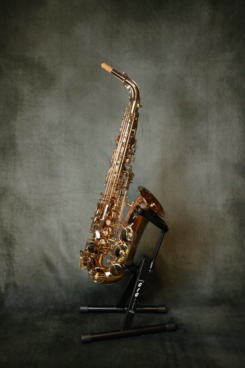 Yanagisawa A-WO20 (AWO20)  Alto Saxophone Genuine product Brand New w/case