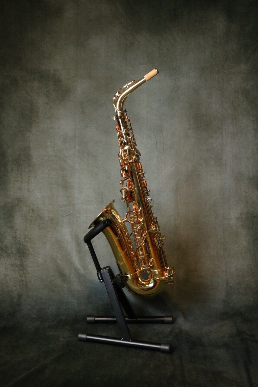 Yanagisawa AWO1 (A-WO1) Alto Saxophone Genuine product Brand New