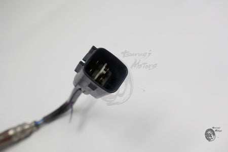 Image #12