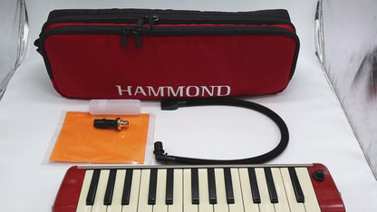 Suzuki Melodyon HAMMOND PRO-27S Soprano 27 Keys Japanese musical instrument