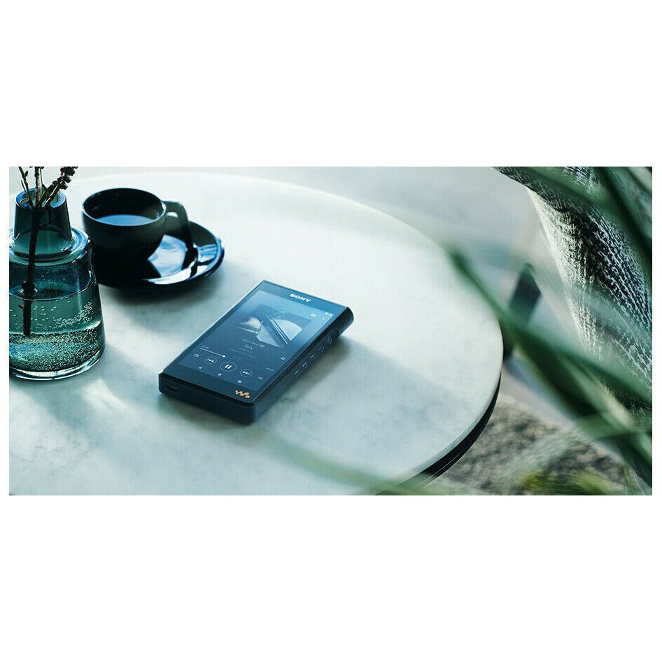 SONY NW-WM1AM2 WALKMAN Signature Series 128GB Hi-Res Audio Android 11 Black